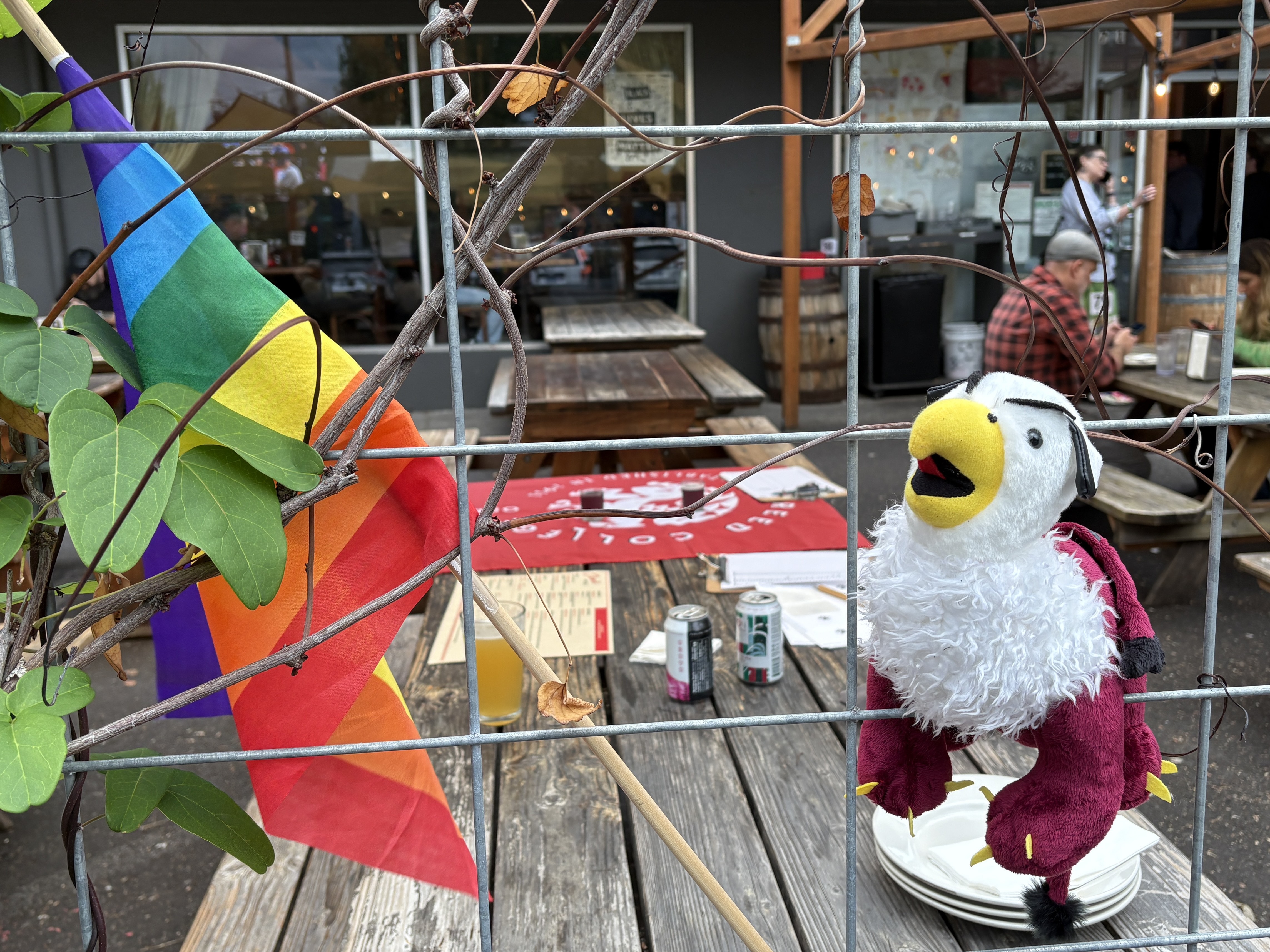 A stuffed griffin and a Pride flag sit behind a wire grate